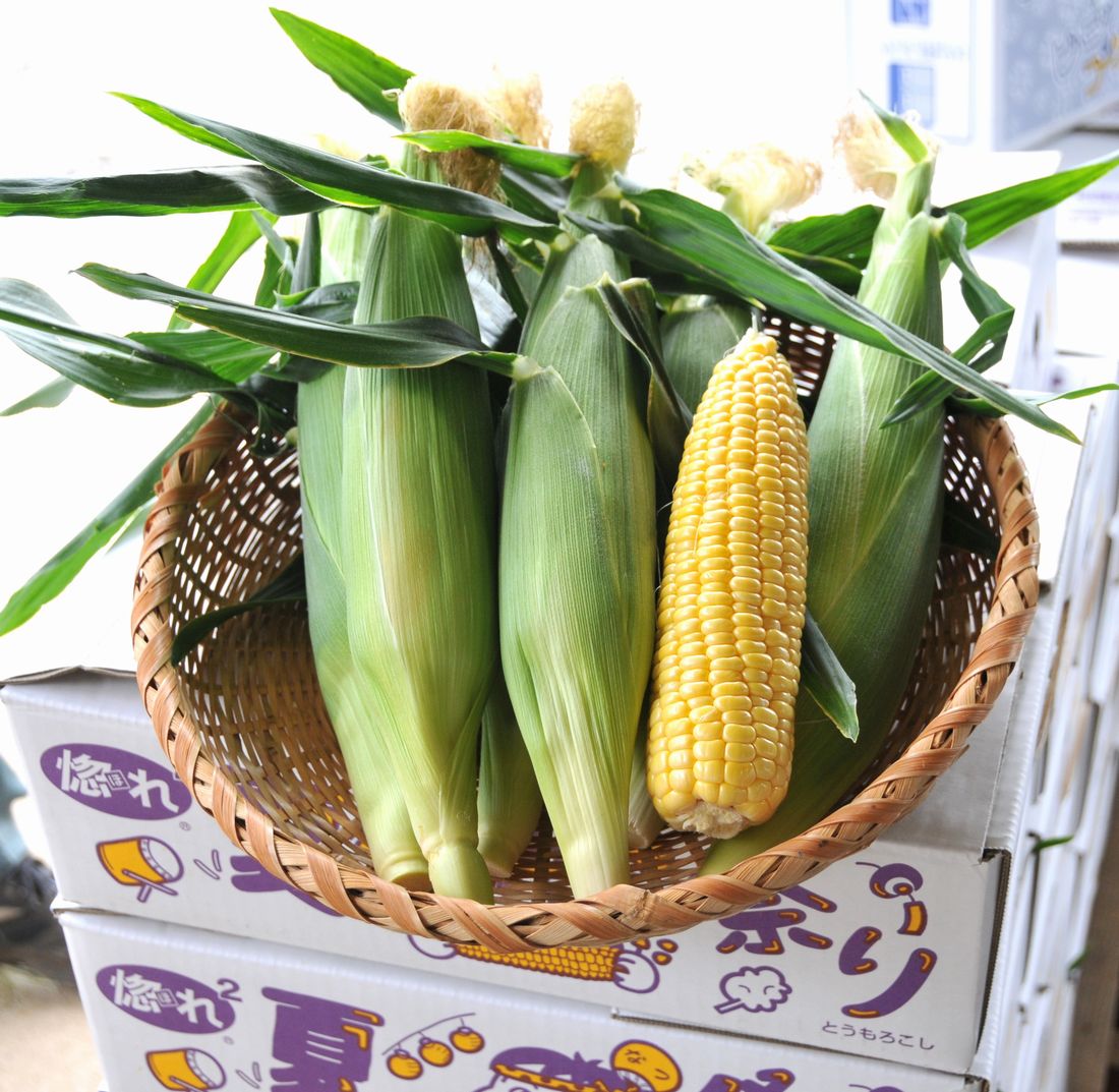 販売されるトウモロコシ「味来」（夏祭り）＝茨城県県産品販売課提供