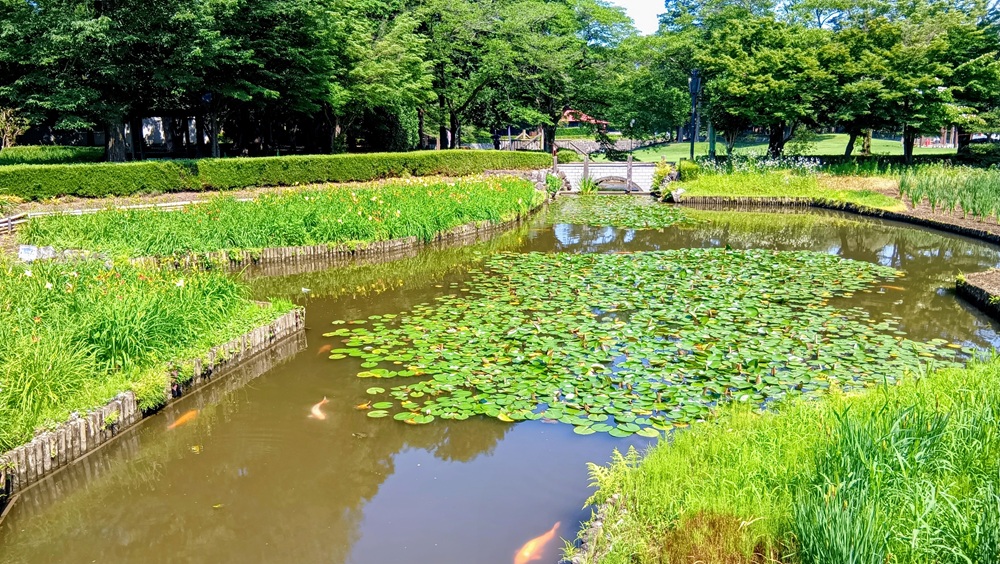 涼を感じる水辺の広場