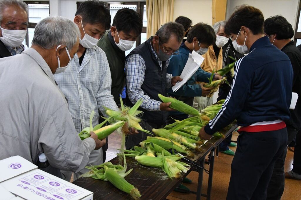 出荷前の目ぞろえ会（茨城県県産品販売課提供）