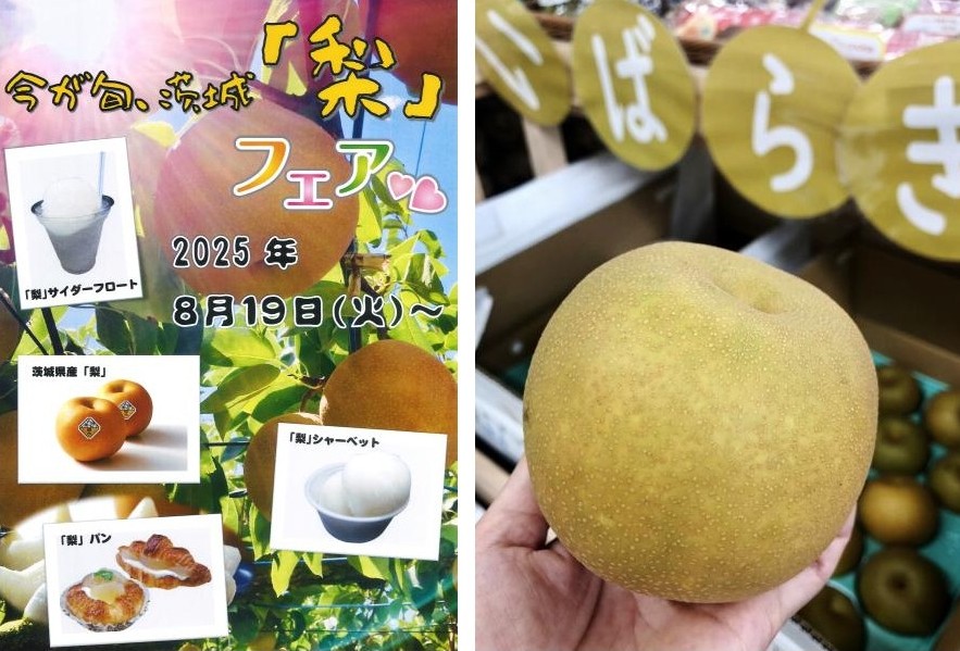 「今が旬！　いばらき梨フェア」のチラシ