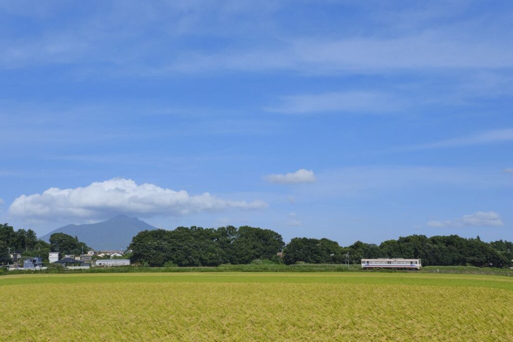 田園風景の中を走る関東鉄道常総線の車両（関東鉄道提供）