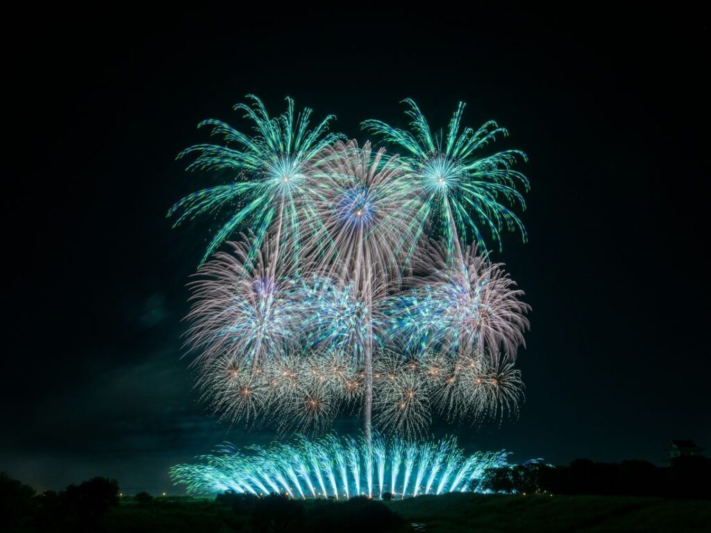 野村花火工業の作品=2024年9月、境町提供