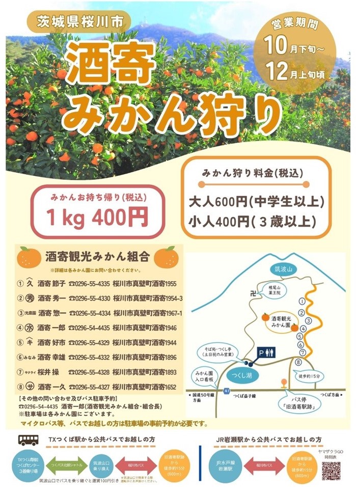 「酒寄みかん狩り」のチラシ