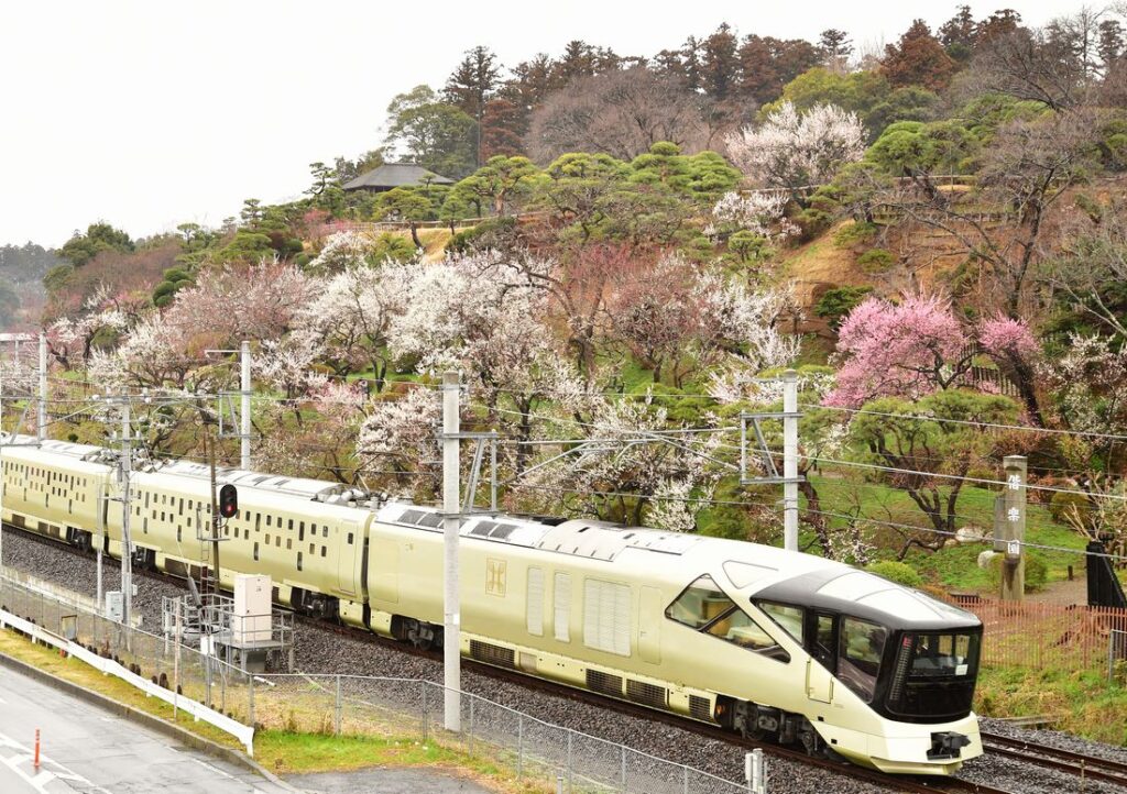 梅香る偕楽園の脇を駆け抜ける豪華寝台列車「トランスイート四季島」＝2019年3月7日、水戸市常磐町