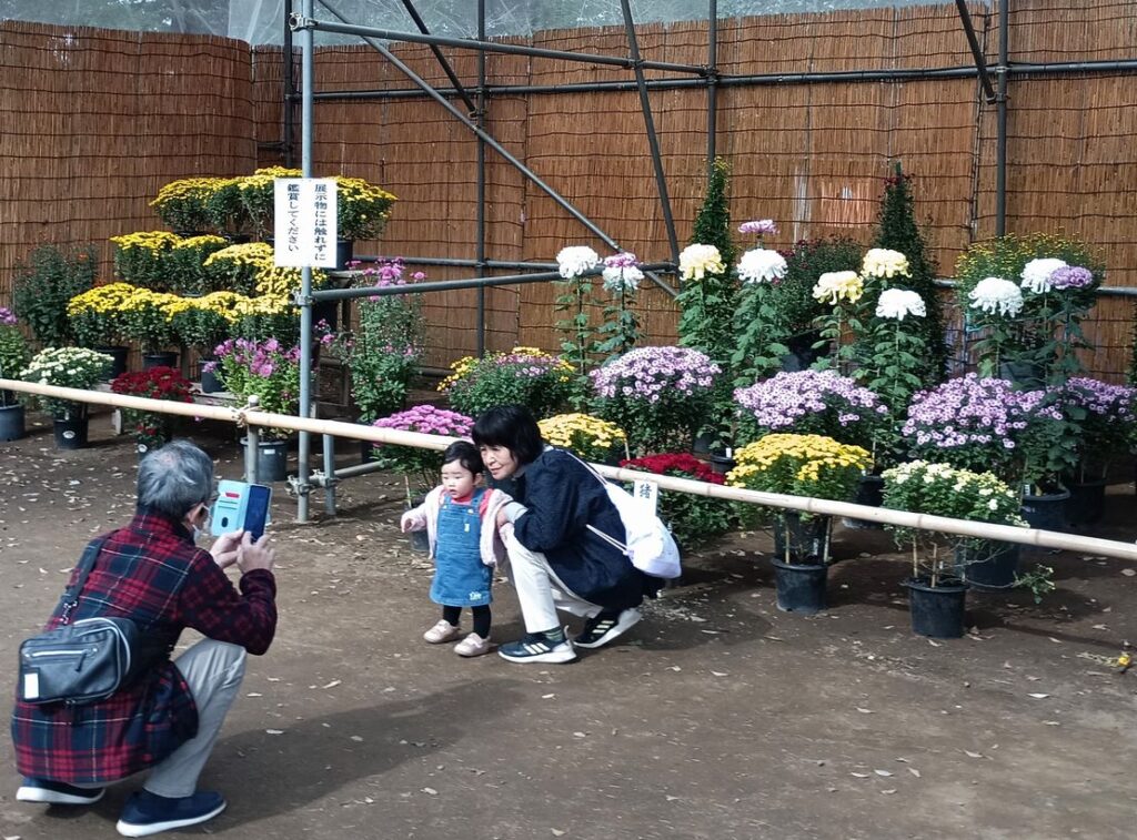 菊の前で記念撮影する子ども連れ＝下妻市大宝