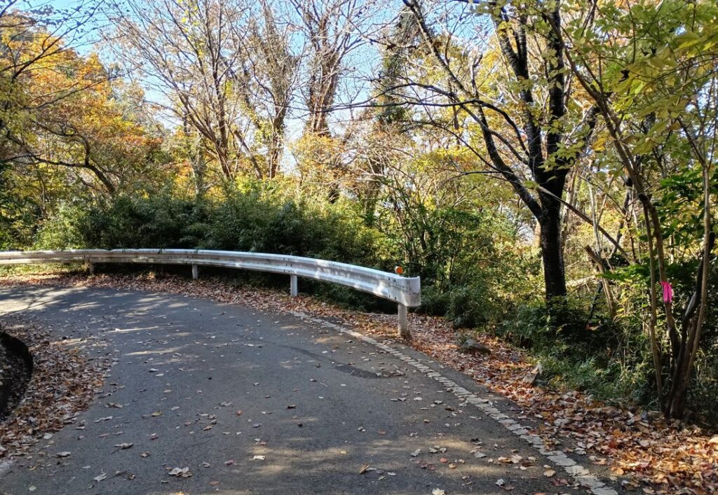 車道（鬼ケ作林道）に出ました
