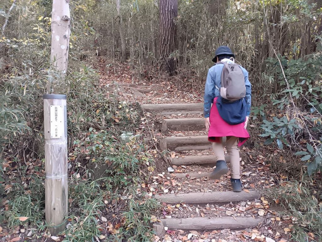 鬼ケ作林道を渡り、筑波山頂を目指します。間もなく「地獄の階段」が現れます