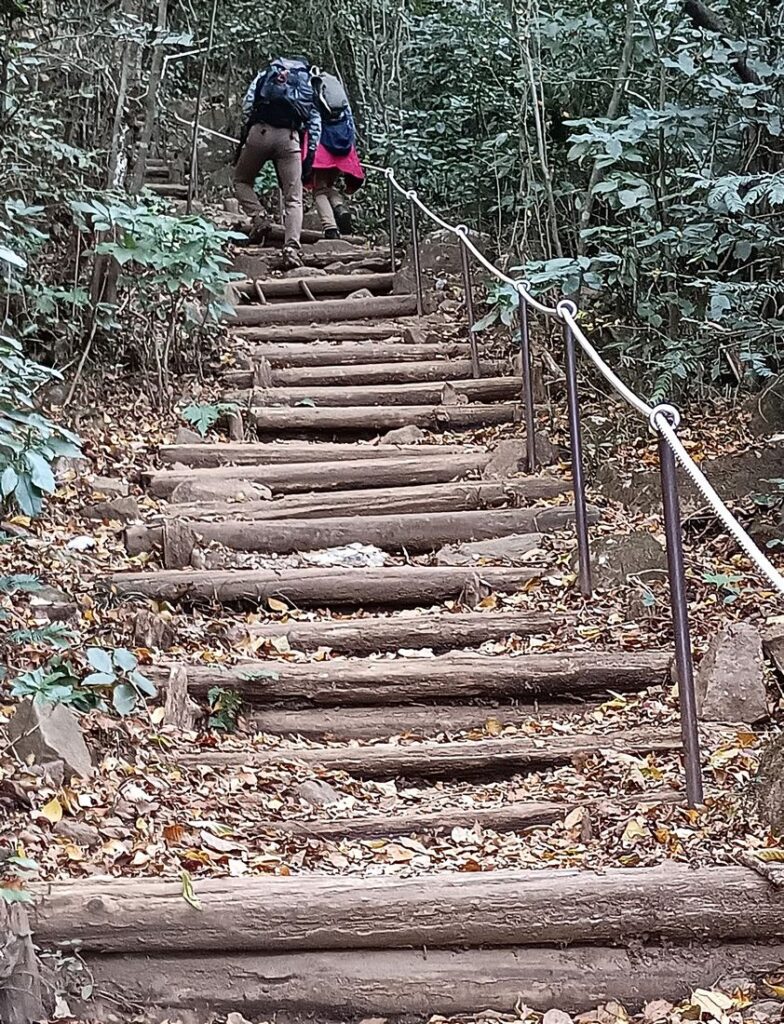 ロープを伝ってゆっくり確実に登っていきます