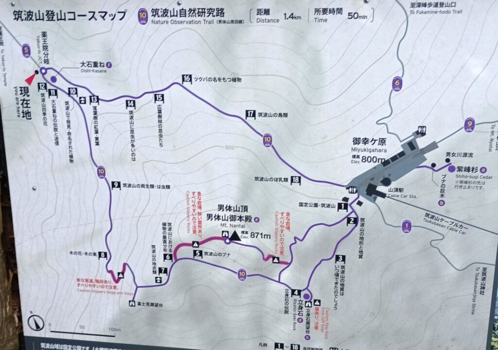 分岐路近くにあった筑波山登山コースマップ。左上の「現在地」の下のコースをたどります