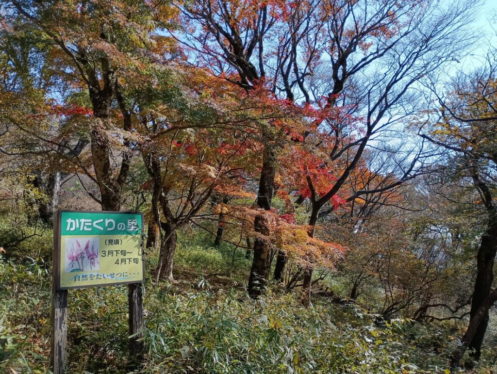 「かたくりの里」の看板と紅葉
