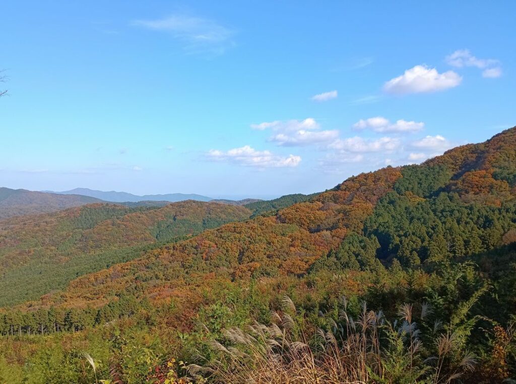 紅葉が広がる山並み