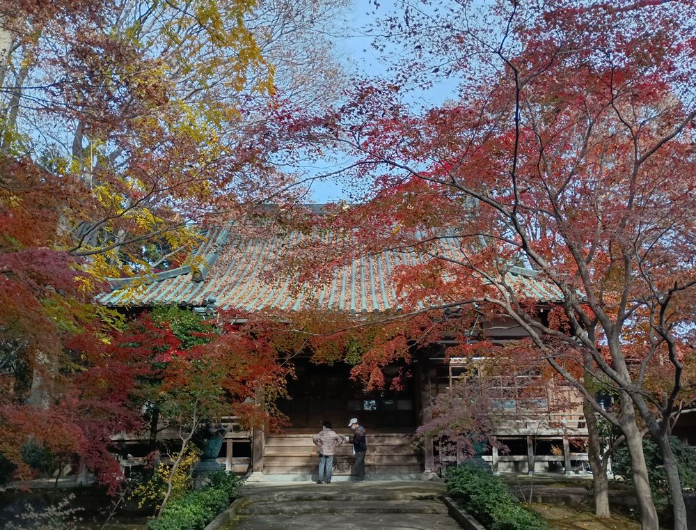 最勝寺の本堂=筑西市下平塚