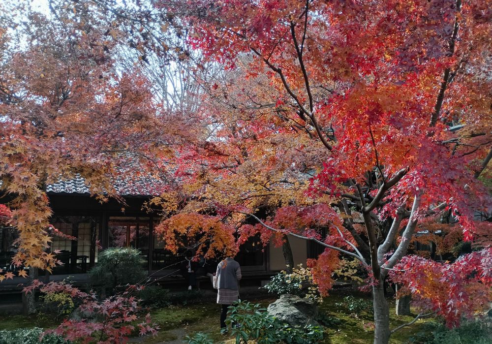 本堂北側の「悟りの庭」=筑西市下平塚