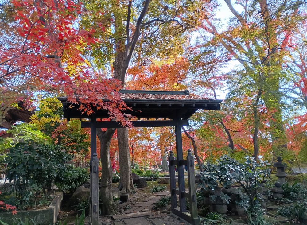 心洗われる最勝寺庭園=筑西市下平塚