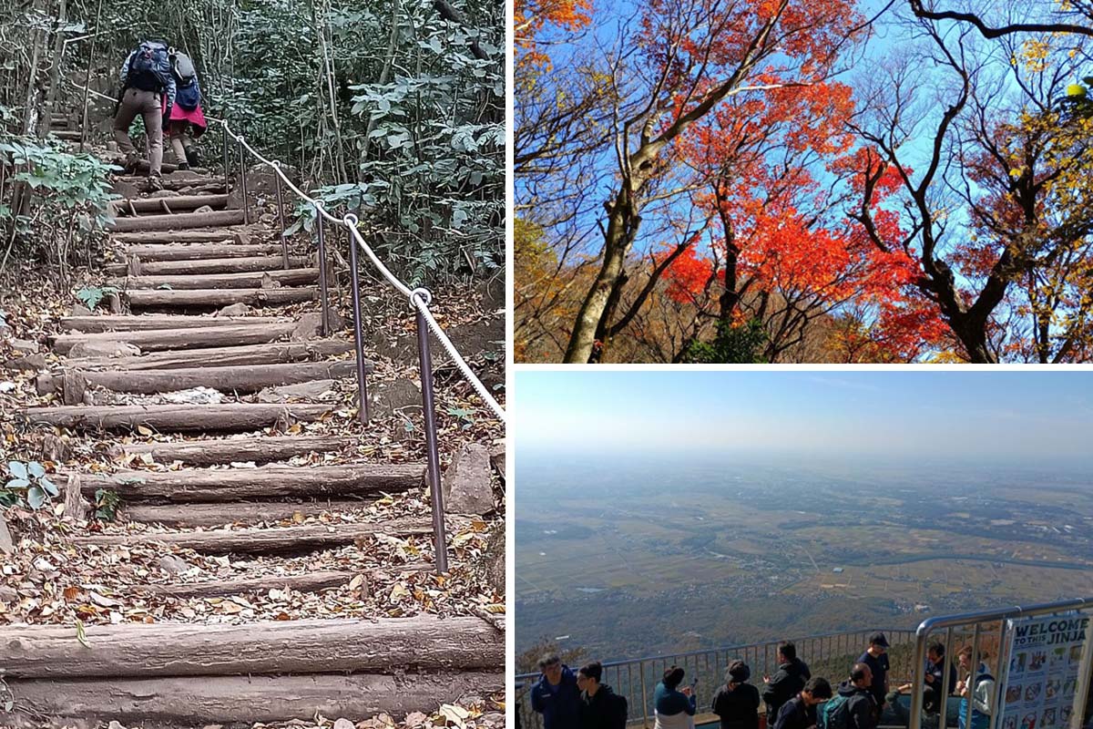 「薬王院コース」の木の階段（左）、「筑波山自然研究路」の紅葉（右上）、男体山頂からの眺望（右下）