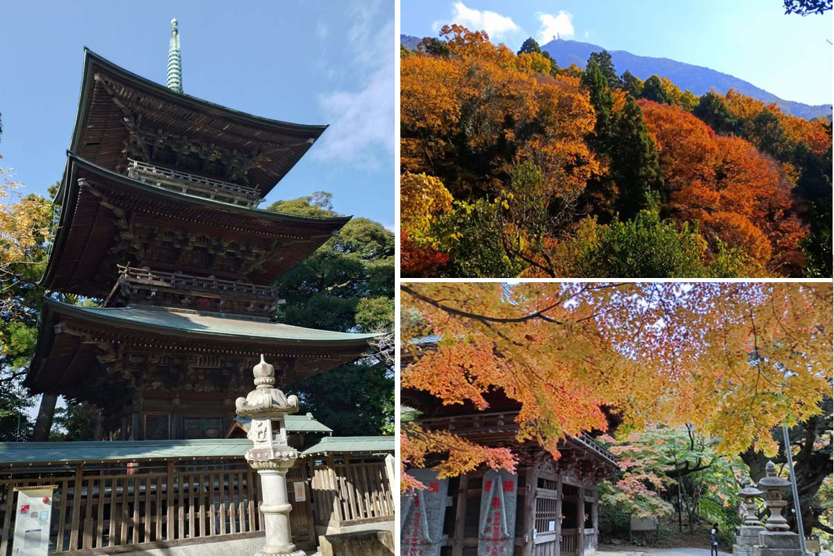 椎尾山薬王院（椎尾薬師）の三重塔（左）と、薬王院から望む筑波山（右上）、薬王院山門と紅葉（右下）