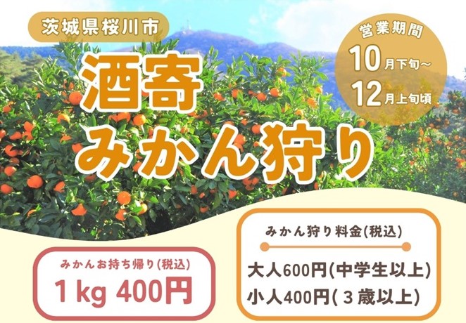 「酒寄みかん狩り」のチラシ（部分）