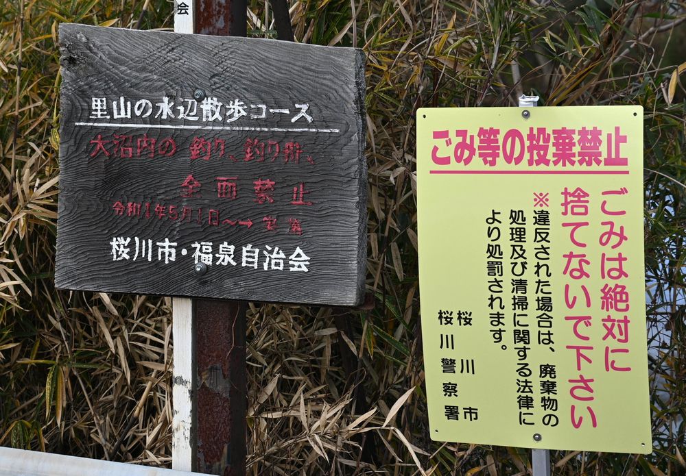 大池のほとりに立つ看板