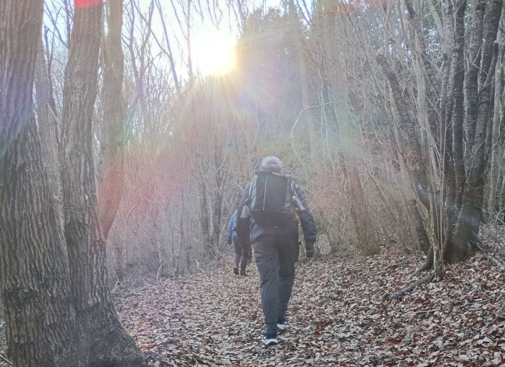 木漏れ日の中を登ります