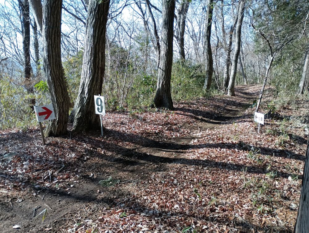 登山道に隣接する、マウンテンバイクのコース