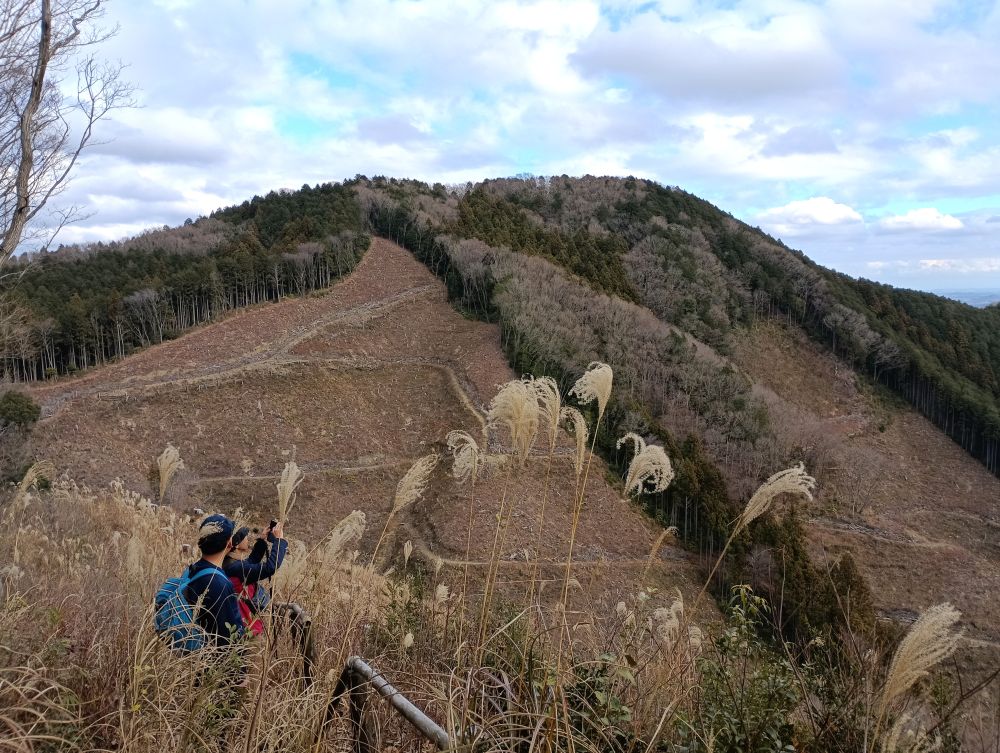仏頂山。木が伐採されて地肌が露出しています。