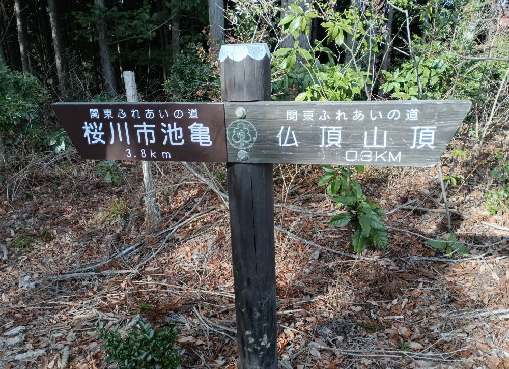 仏頂山山頂まであと0.3キロメートルになりました