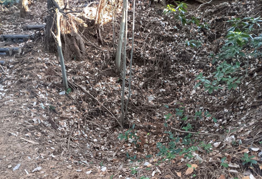 写真では分かりづらいですが、砥石を採掘した跡で窪地になっています