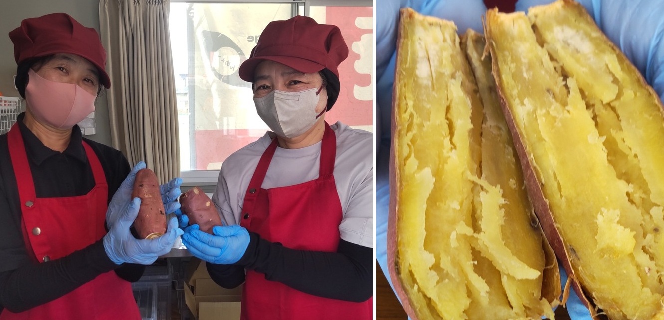 筑西市産の紅はるかを使った焼き芋