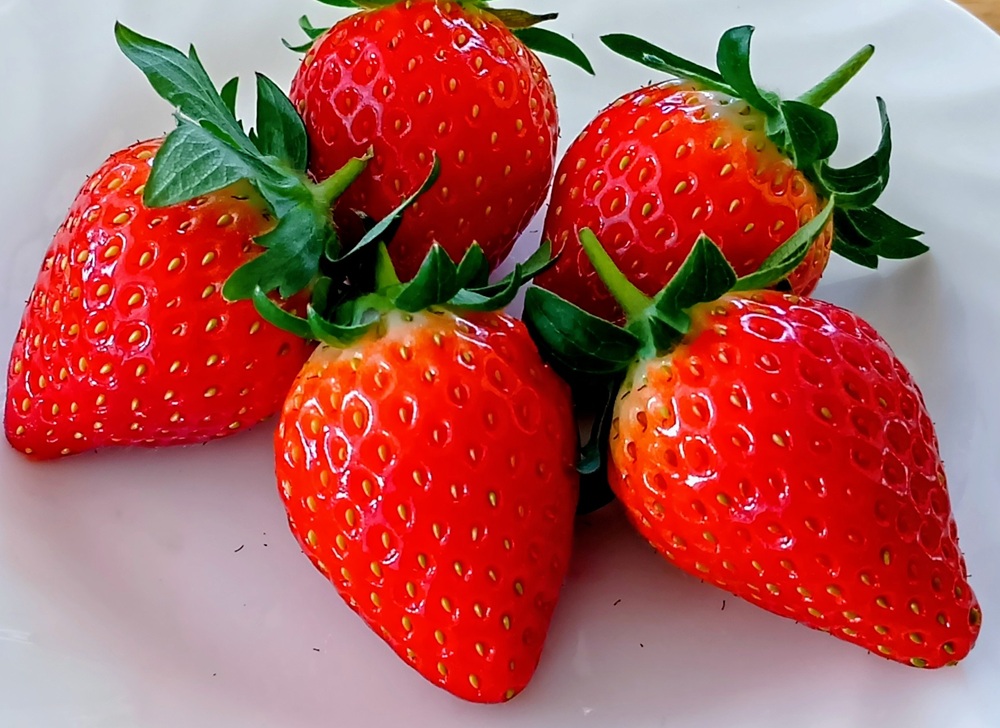 鮮度が良く、甘さも抜群のイチゴ