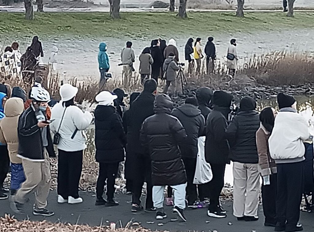 母子島遊水地からの初日の出を見ようと集まった人たち=筑西市飯田