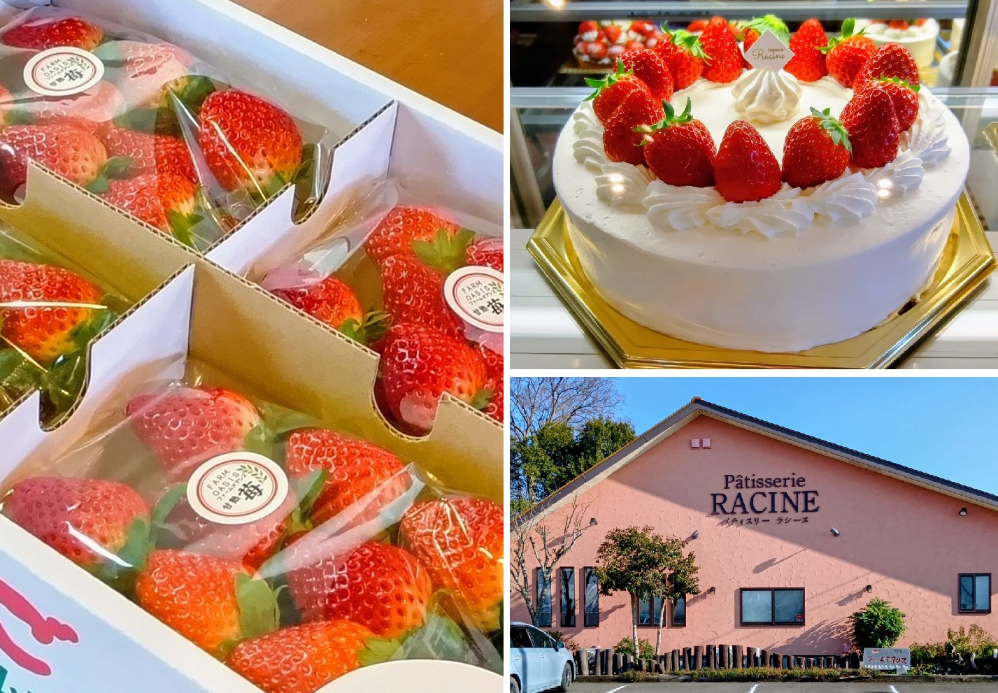 朝摘みのイチゴとケーキが大人気のパティスリーラシーヌ