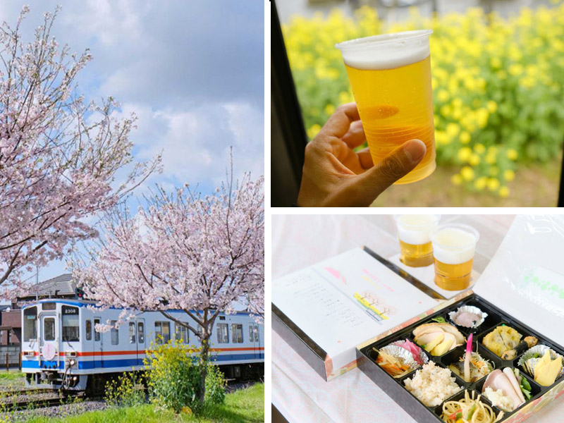 関鉄常総線のお花見ビール列車（関東鉄道提供。イメージ写真）
