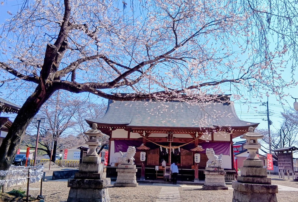 結城諏訪神社=結城市上山川