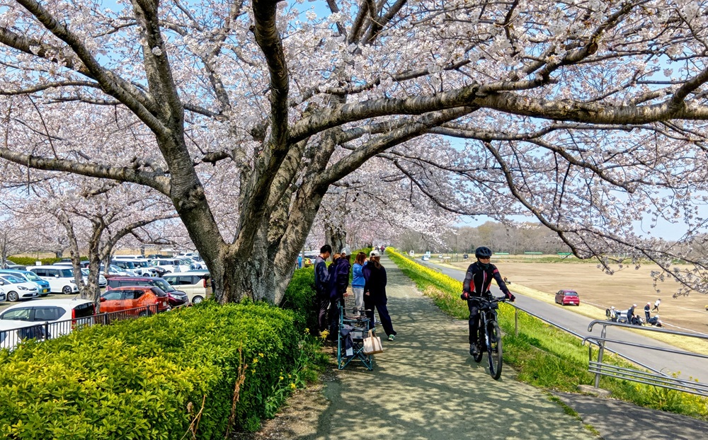 ウオーキングやサイクリングを楽しむ人たち