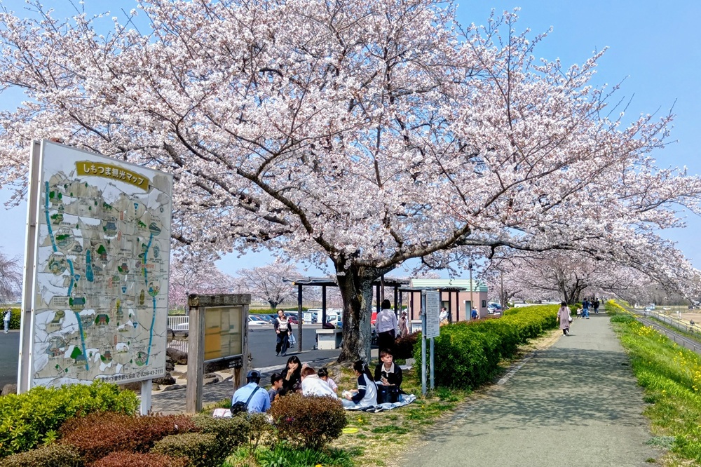 小貝川ふれあい公園=下妻市堀篭