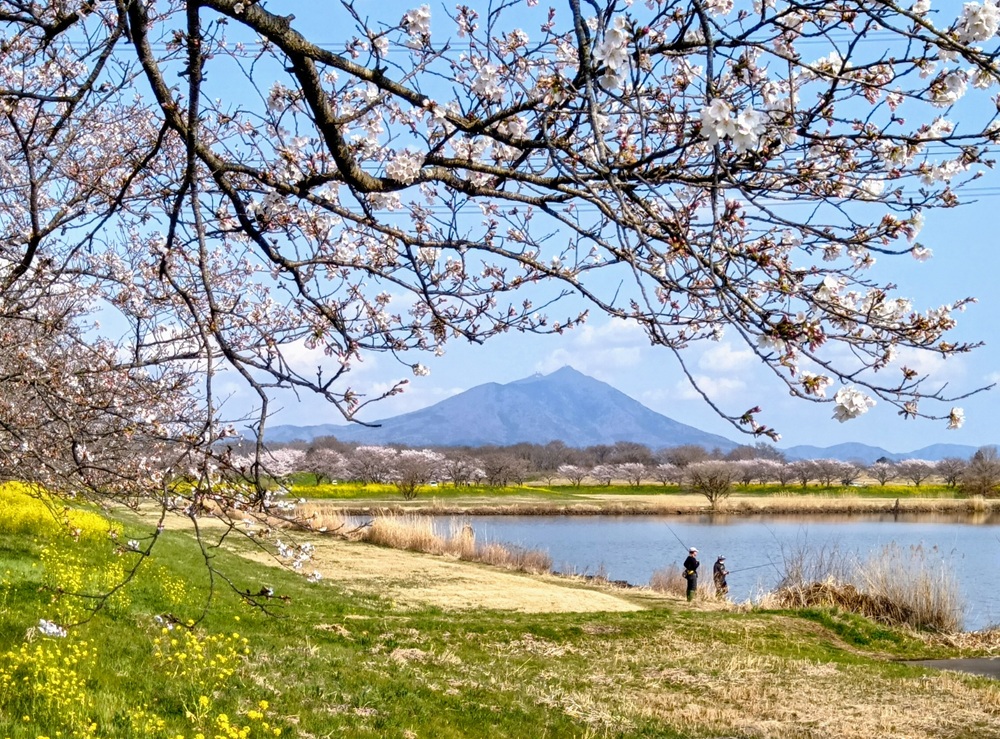 母子島遊水地=筑西市飯田