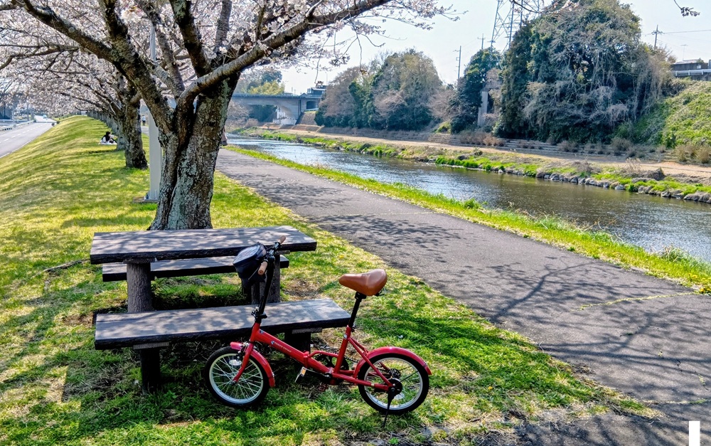 休憩できるベンチもあります