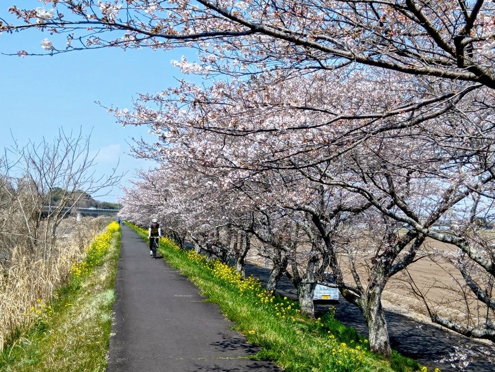勤行緑地駐車場から県境へ続くサイクリングロード