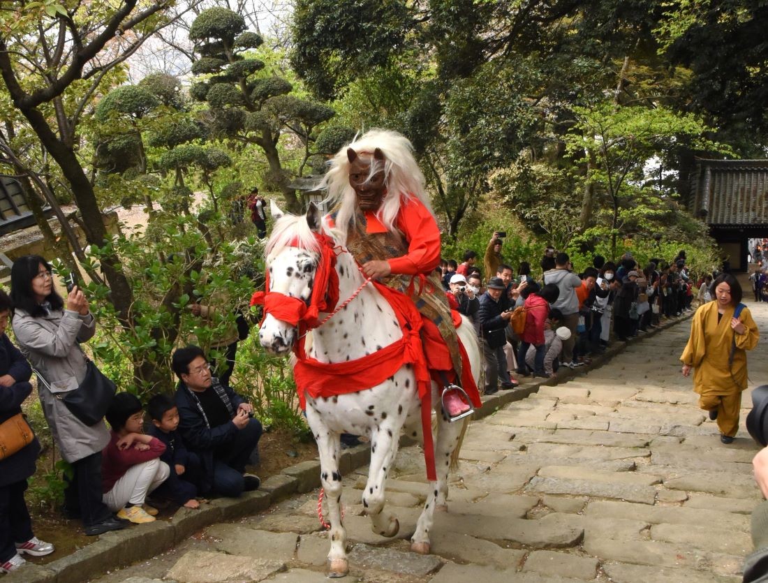 雨引山楽法寺の参道を馬に乗って駆け上がるマダラ鬼神＝桜川市本木