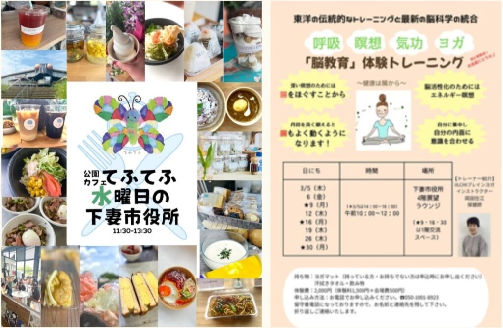 各種チラシ(下妻市ホームページより)