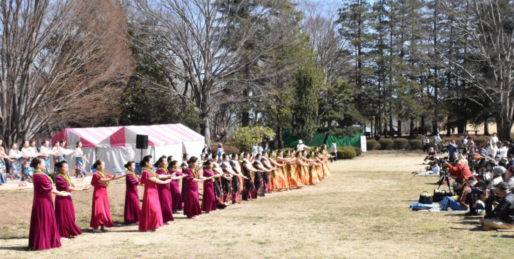 多彩な催しが予定される会場内のステージ＝古河市鴻巣