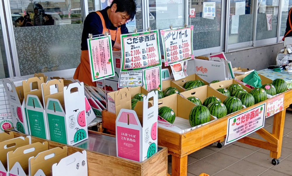 店頭で「こだまスイカ」が販売されていました