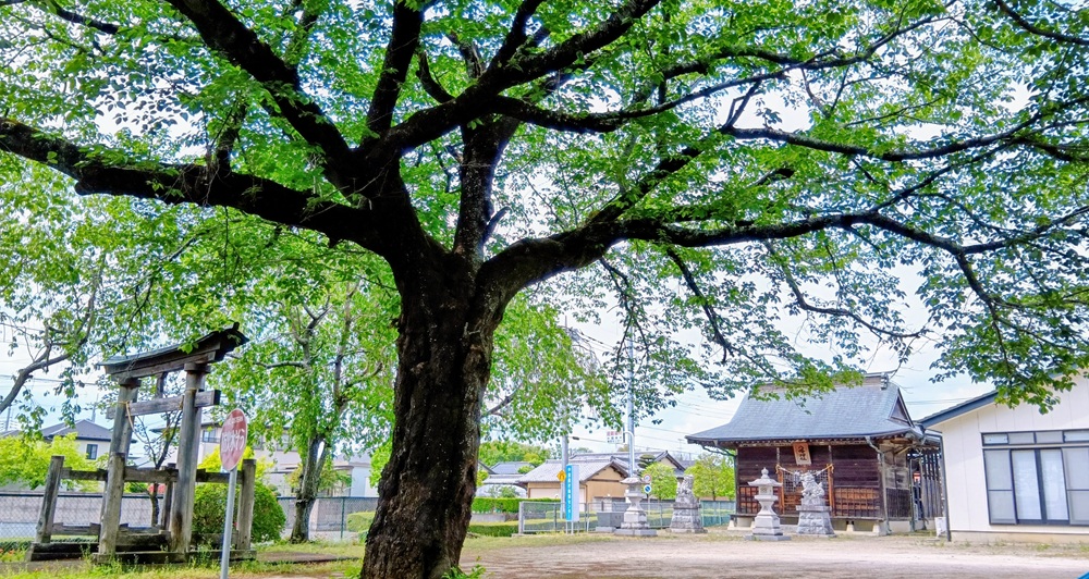 八幡神社＝筑西市中舘
