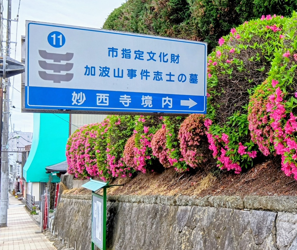 市指定文化財の案内板