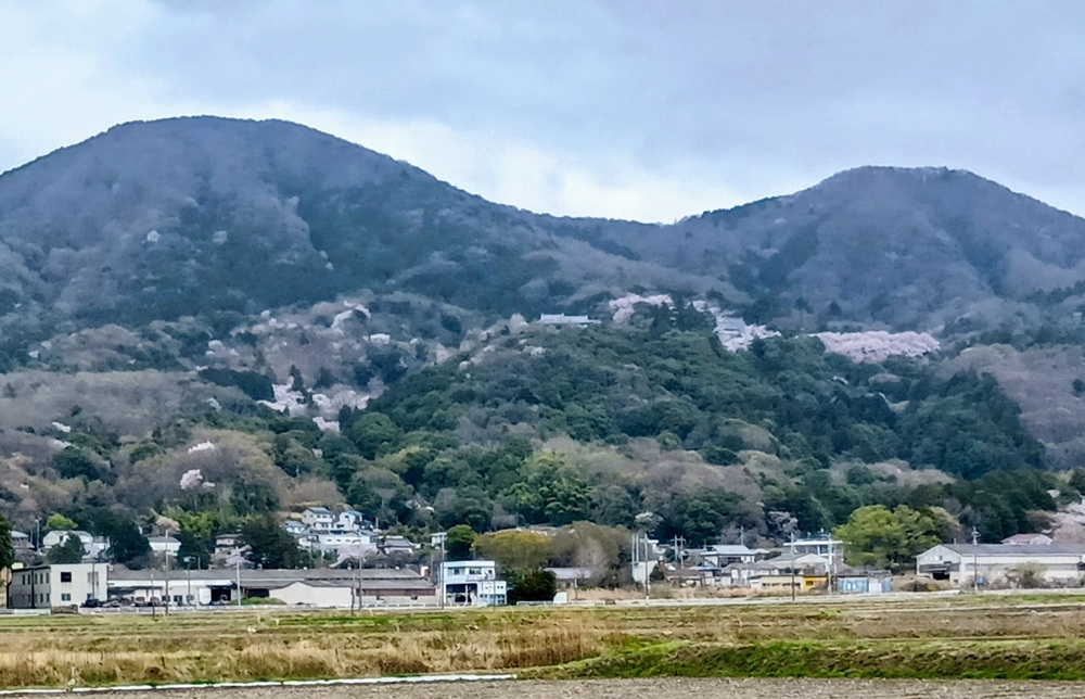 山の中腹にある雨引観音＝2026年4月1日撮影