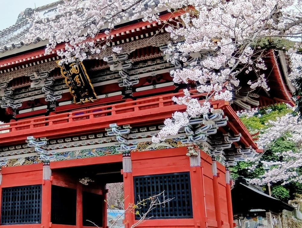 雨引観音の仁王門＝2026年4月1日撮影