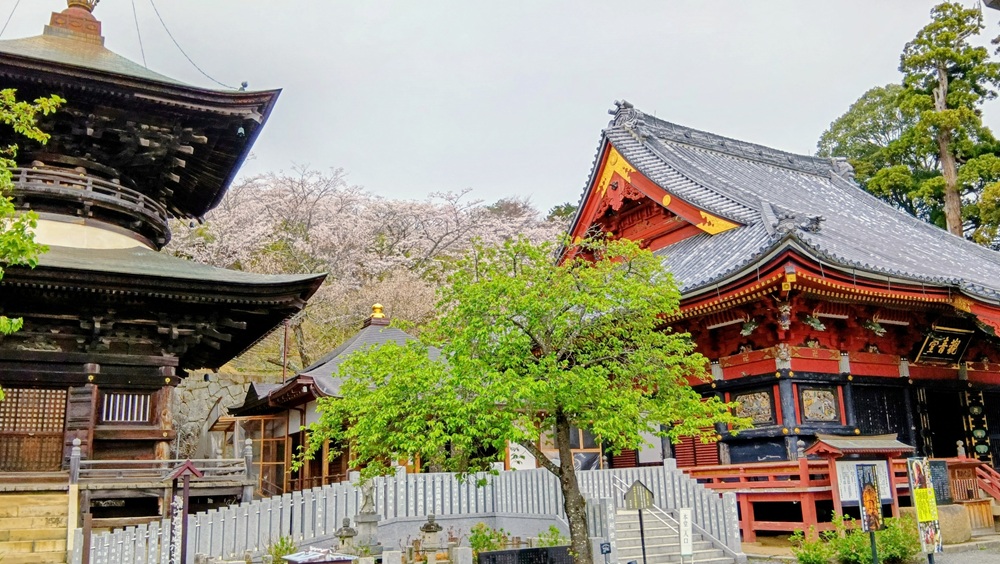 右が本堂、左が多宝塔＝2026年4月1日撮影