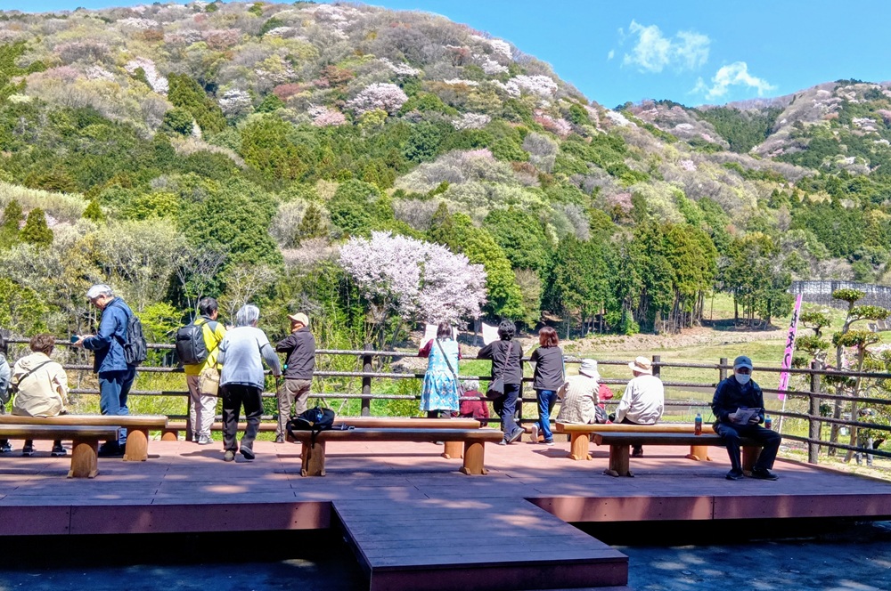 高峯見晴デッキ（4月8日撮影）