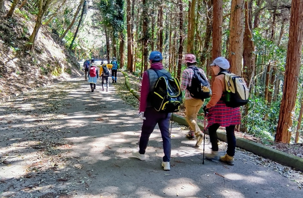 杉林の続く平沢林道（4月８日撮影）