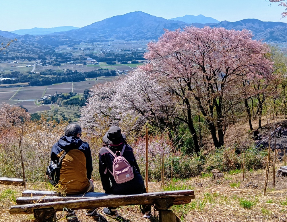高峯第２展望台からは筑波山も見えました（4月8日撮影）